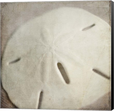 Framed Under the Sea 02 Print