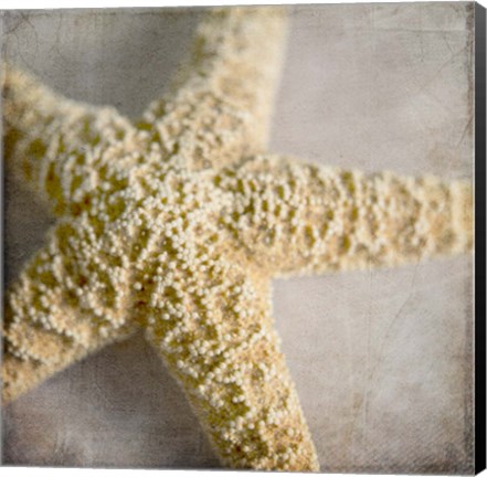 Framed Under the Sea 03 Print