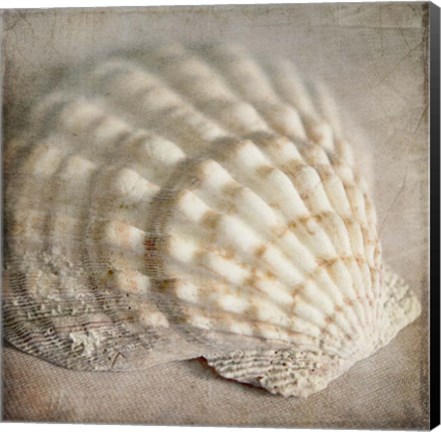 Framed Under the Sea 04 Print