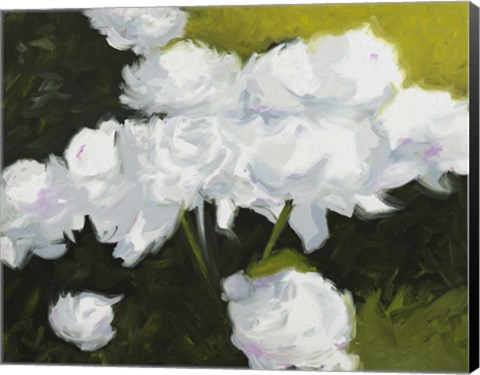 Framed Peonies Print