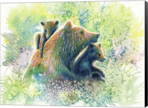 Framed Mother Grizzly Bear Print