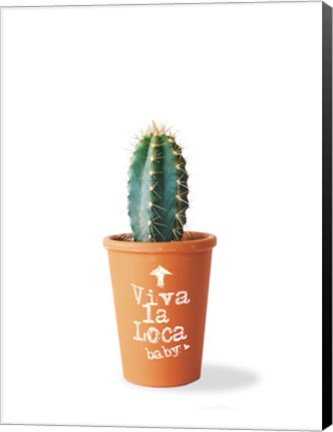 Framed Cactus Cray Cray Print