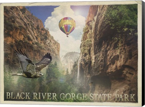 Framed Black River Gorge Print