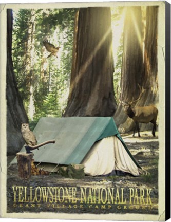 Framed Redwood Camping Print