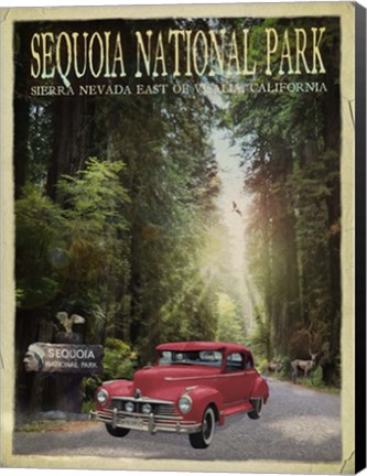 Framed Sequioa National Park Print