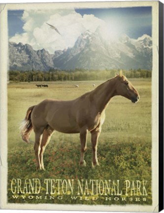 Framed Wild Horse Print