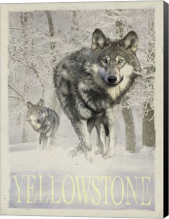 Framed Wolf Snow Print