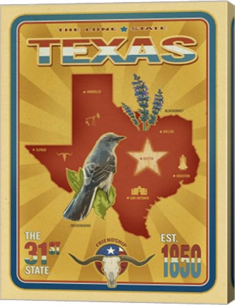 Framed Texas Print