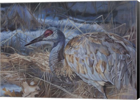 Framed Big Bird Print