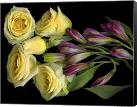 Framed Yellow Roses With Alstromeria Print