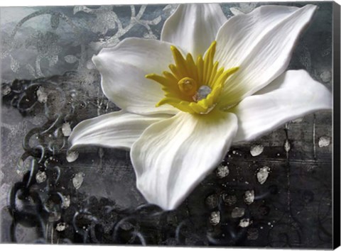 Framed Frost Queen Print