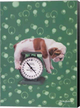 Framed Puppy by the Pound Print