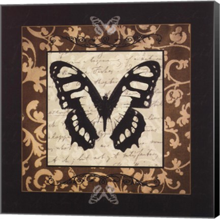 Framed Classical Butterfly II Print