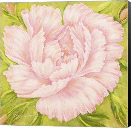 Framed Pink Peony Print