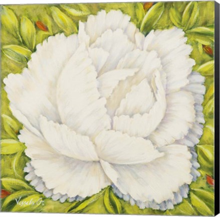 Framed White Peony Print