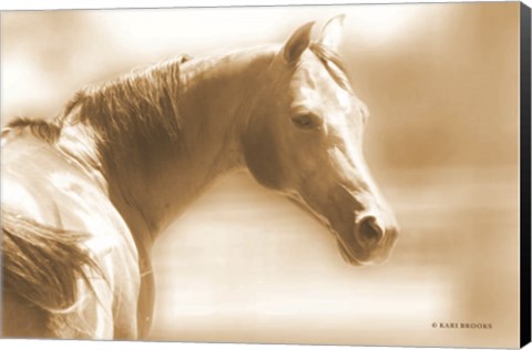 Framed Rose I Sepia Print