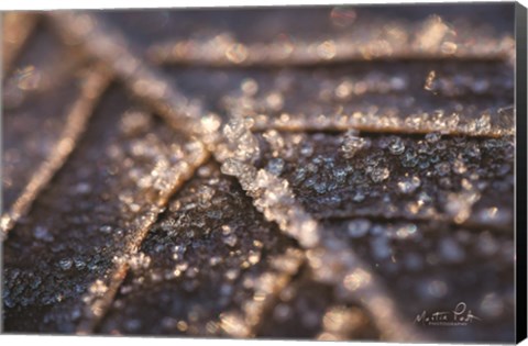 Framed Frozen Leaf Print