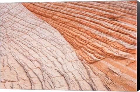 Framed Coyote Buttes VI Print