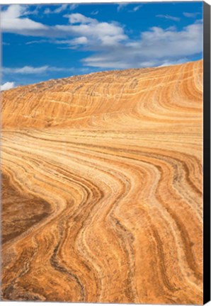 Framed Coyote Buttes V Print