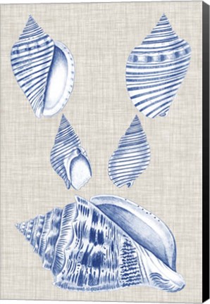 Framed Navy &amp; Linen Shells III Print