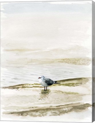 Framed Coastal Gull II Print