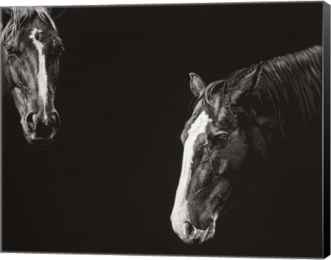 Framed Cowboy Scratchboard III Print