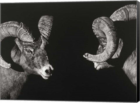 Framed Wild Scratchboard I Print
