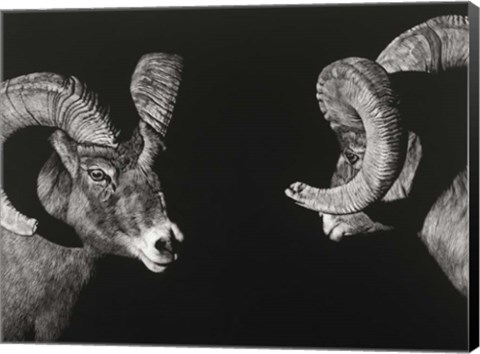 Framed Wild Scratchboard I Print