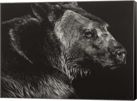 Framed Wild Scratchboard II Print