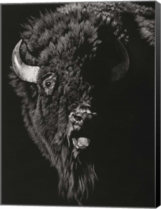 Framed Wild Scratchboard IV Print