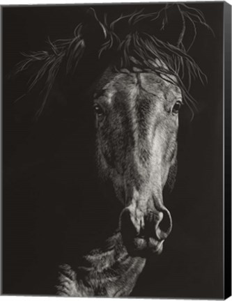 Framed Wild Scratchboard VI Print