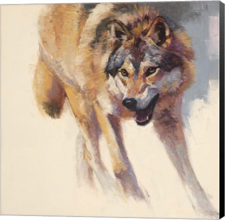 Framed Wolf Study IV Print