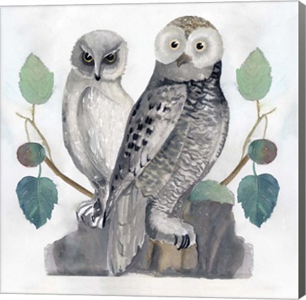Framed Traditional Owls I Print