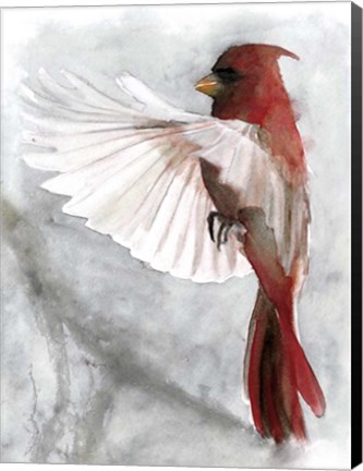 Framed Cardinals II Print