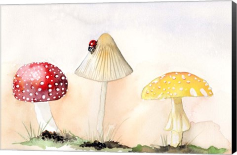 Framed Faerie Mushrooms I Print