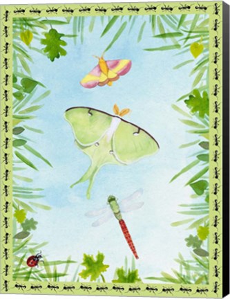 Framed Bug Collector I Print