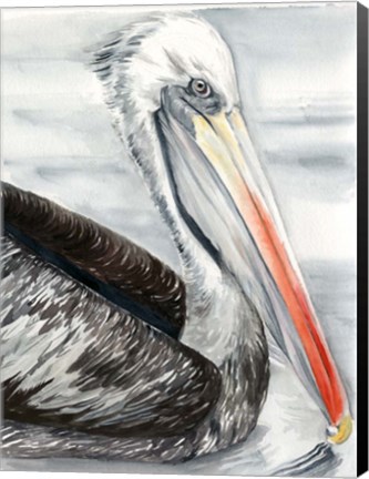 Framed Grey Pelican I Print