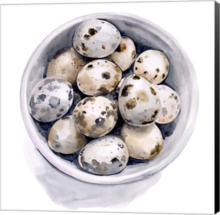 Framed Quail Egg Study II Print