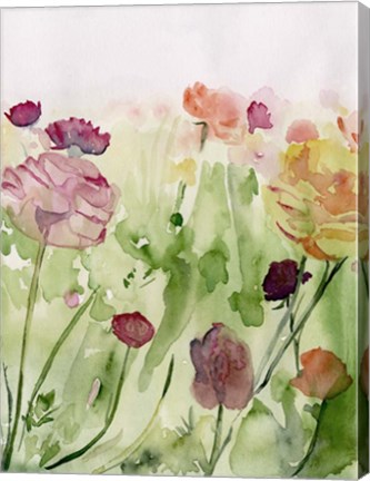 Framed Among the Watercolor Wildflowers II Print