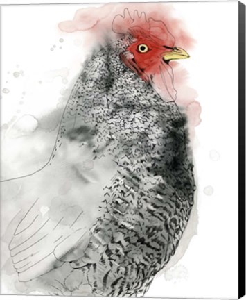 Framed Plymouth Rooster II Print