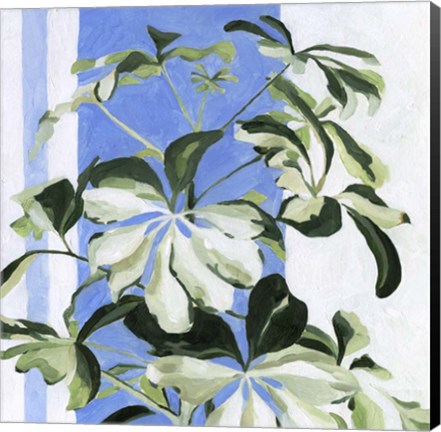 Framed Indoor Plant II Print