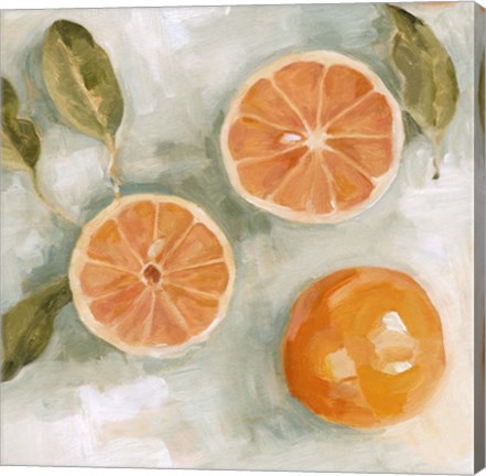 Framed Fresh Citrus II Print