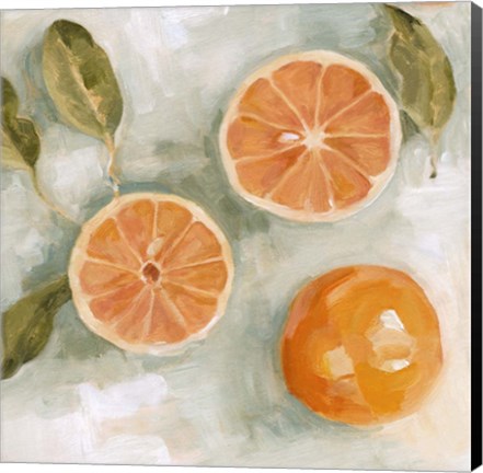 Framed Fresh Citrus III Print