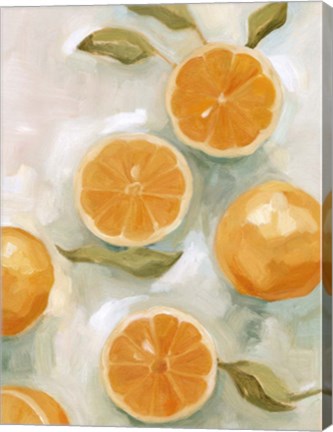 Framed Fresh Citrus VI Print