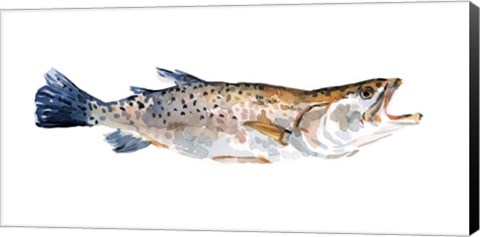 Framed Freckled Trout II Print