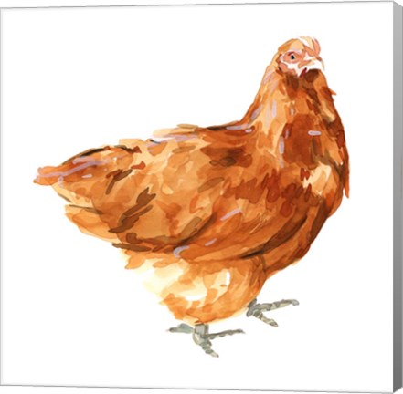 Framed Wild Chicken I Print