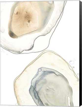 Framed Ocean Oysters III Print