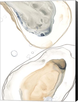 Framed Ocean Oysters IV Print
