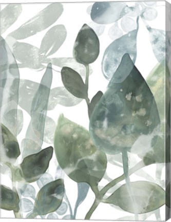 Framed Aquatic Leaves I Print
