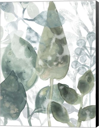 Framed Aquatic Leaves II Print